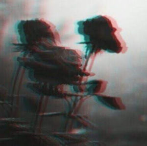 Meet your Posher, Mariah